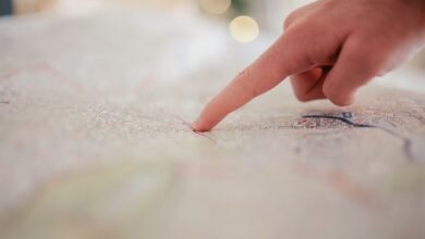 registry search findings for specific ids