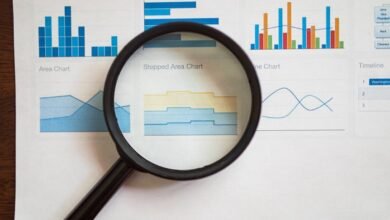 review of five registry insights numbers