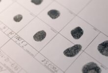 search registry reference numbers provided