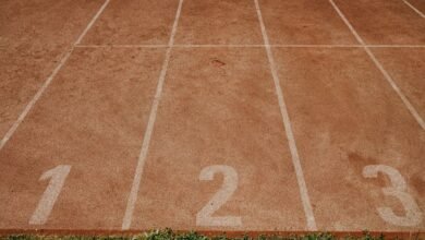 track number registry findings for listed ids